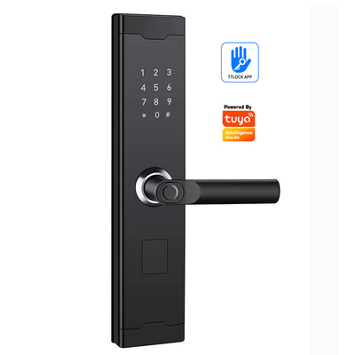 TUYA USB Port Emergency Push Pull Direction Smart Home Door Lock For Front Door