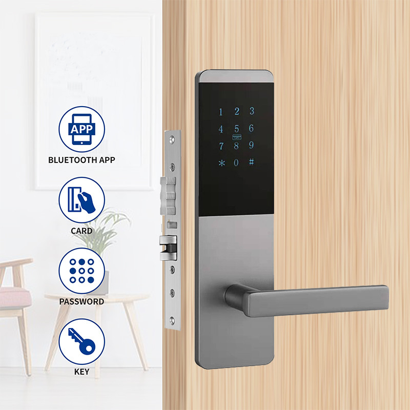 4 ใน 1 อลูมิเนียมสลัดอพาร์ทเมนต์ Smart TTlock ประตูล็อคด้วยคีย์พ্যাดสัมผัส